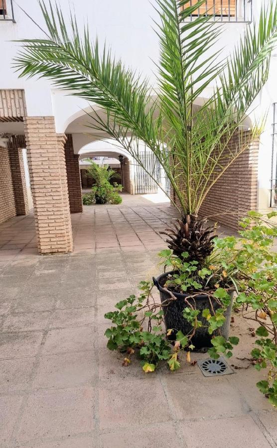 Apartamento Alcazar San Basilio Кордова Экстерьер фото